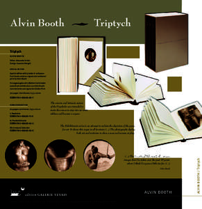 Triptych alvin booth Editor: Alexander Scholz Design: Susanne Weigelt  special edition