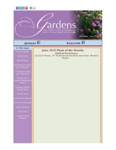            Jackson  In This Issue Plant of Month Garden Tips Now Showing Educational Classes