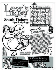 Lewis The Duck Buried treasure. The largest underground gold mine is the Homestake Mine in Lead.