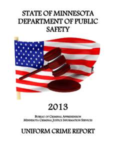 STATE OF MINNESOTA DEPARTMENT OF PUBLIC SAFETY 2013 BUREAU OF CRIMINAL APPREHENSION