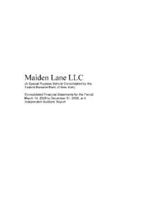 Maiden Lane LLC financial statements