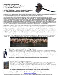 Great Salt Lake Audubon San Blas Birding Tour Fundraiser 9 days/8 nights: Feb 1-9, 2016 Black-throated Magpie-Jay