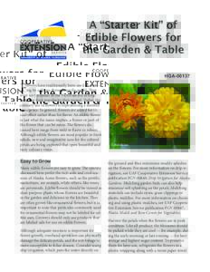 A “Starter Kit” of Edible Flowers for the Garden & Table HGAF