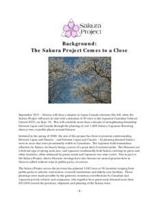 Cherry blossom / Flowers / Spring / Botany / Japanese Canadian Cultural Centre / Sakura / Agriculture / Japan / Flora of Japan / Ornamental trees / Cherries