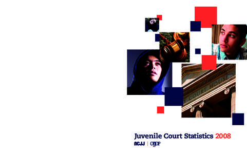 Juvenile Court Statistics[removed]National Center for Juvenile Justice the research division of the National Council of Juvenile and Family Court Judges 3700 South Water Street, Suite 200 | Pittsburgh, PA[removed]) 