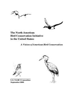 The North American Bird Conservation Initiative in the United States: A Vision of American Bird Conservation  U.S. NABCI Committee