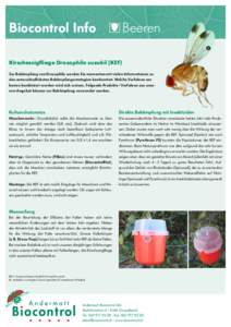 Biocontrol Info	  Beeren 1  Kirschessigfliege Drosophila suzukii (KEF)