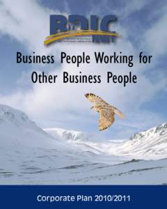 Business People Working for Other Business People Corporate Plan[removed]  NWT Business Development