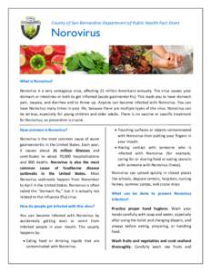 County of San Bernardino Department of Public Health Fact Sheet  Norovirus What is Norovirus? Norovirus is a very contagious virus, affecting 21 million Americans annually. The virus causes your