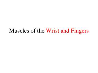 Muscles of the Wrist and Fingers  Movement that occurs at the wrist • Flexion: palm bends towards arm • Extension: palm moves away from arm