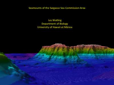 Atlantic Ocean / Corner Rise Seamounts / Physical oceanography / Sargasso Sea / Seamount / North Atlantic Deep Water / New England Seamount chain / Geology / Volcanism / Volcanology