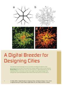 A Digital Breeder for Designing Cities The idea that inspired designs mirror processes of biological evolution is fast gaining ground as we learn more about how complex systems such as cities function. Michael Batty illu