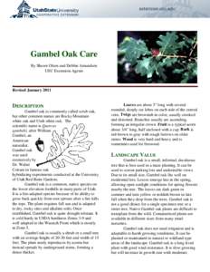 Gambel Oak Care By Shawn Olsen and Debbie Amundsen USU Extension Agents Revised January 2011