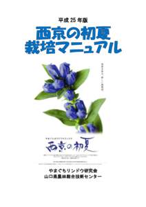 平成 25 年版  やまぐちリンドウ研究会 山口県農林総合技術センター  「西京の初夏」栽培マニュアル（平成 25 年版）