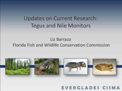 Updates on Current Research: Tegus and Nile Monitors Liz Barraco Florida Fish and Wildlife Conservation Commission  Research Updates