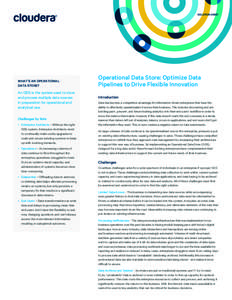 SOLUTION BRIEF  CONNECT WHAT’S AN OPERATIONAL DATA STORE?