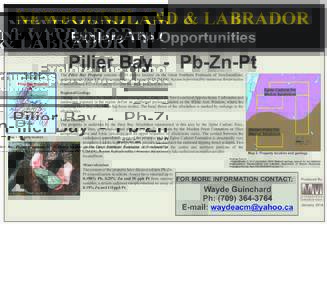 NEWFOUNDLAND & LABRADOR Explore The Opportunities Pilier Bay - Pb-Zn-Pt The Pilier Bay Property consists of 10 claims located on the Great Northern Peninsula of Newfoundland, approximately 8 Km SW of the community of Cro