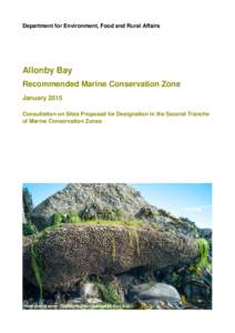 Department for Environment, Food and Rural Affairs  Allonby Bay Recommended Marine Conservation Zone January 2015 Consultation on Sites Proposed for Designation in the Second Tranche