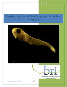 2012  Exploratory Larval Fish Sampling: Kennebec River, ME  BioDiversity Research Institute