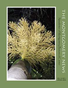 Palmetum / Fairchild Tropical Botanic Garden / Butia / Harry P. Leu Gardens / Lotusland / Dioon mejiae / Arecaceae / Florida / Cycad / Montgomery Botanical Center