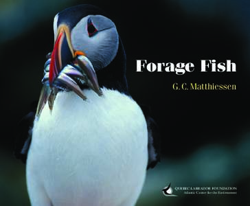 Forage Fish G.C. Matthiessen QUEBEC-LABRADOR FOUNDATION Atlantic Center for the Environment