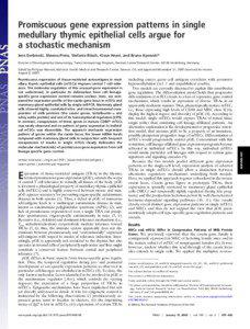 Promiscuous gene expression patterns in single medullary thymic epithelial cells argue for a stochastic mechanism