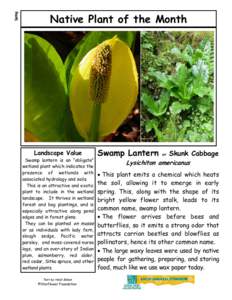 Spring  Native Plant of the Month Landscape Value