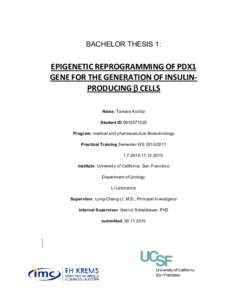 RNA / Biotechnology / Gene expression / PDX1 / Induced pluripotent stem cell / RNA activation / Cellular differentiation / Insulin / Diabetes mellitus type 1 / Biology / Stem cells / Developmental biology