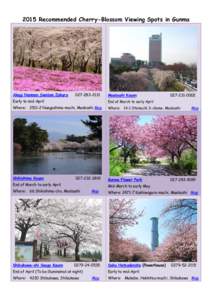 2015 Recommended Cherry-Blossom Viewing Spots in Gunma  Akagi Nanmen Sembon Zakura