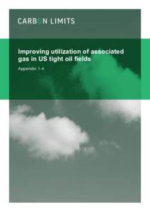 Improving utilization of associated gas in US tight oil fields Appendix 1-4 This report was prepared by Carbon Limits AS. Project title: