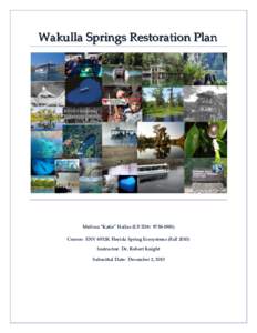 Wa k u lla Sprin g s R e s tora tio n Pl a n  Melissa “Katie” Hallas (UF ID#: Course: ENV 6932K Florida Spring Ecosystems (FallInstructor: Dr. Robert Knight Submittal Date: December 2, 2010