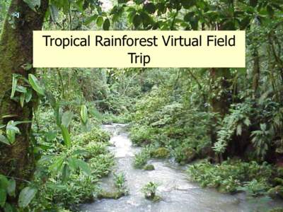 Tropical  Rainforest  Virtual  Field   Trip Tropical Rainforest Virtual Field Trip