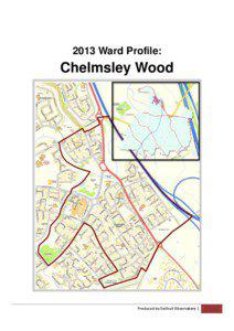 Chelmsley Wood Ward Profile 2013