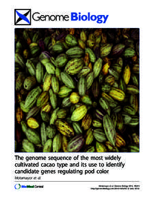 The genome sequence of the most widely cultivated cacao type and its use to identify candidate genes regulating pod color Motamayor et al. Motamayor et al. Genome Biology 2013, 14:r53 http://genomebiology.com[removed]r