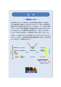 蛍  光 ― 発光のしくみ ― 蛍光色素が光エネルギーを吸収すると、蛍光色素の電子は励起され、励起状態