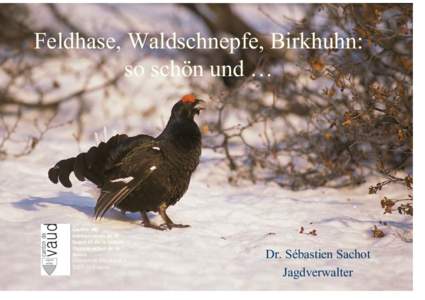 Feldhase, Waldschnepfe, Birkhuhn: so schön und … Centre de conservation de la faune et de la nature