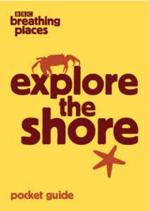 explore the shore pocket guide