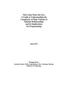 More than Meets the Eye: A Guide to Understanding the Complexity of Male Violence in Intimate Relationships and its Implications for Programming