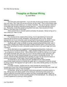 Microsoft Word - ThoughtsOnWiring[0506]Text.doc