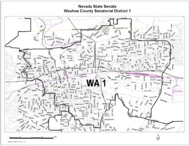 Nevada State Senate:  Washoe County Senatorial District 1