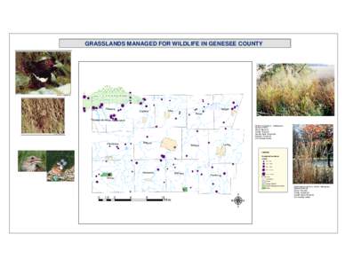 GRASSLANDS MANAGED FOR WILDLIFE IN GENESEE COUNTY  Alabama Oakfield
