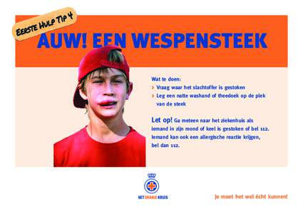 Wat te doen: > Vraag waar het slachtoffer is gestoken > Leg een natte washand of theedoek op de plek van de steek  Let op! Ga meteen naar het ziekenhuis als