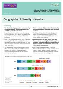 Ethnic groups in the United Kingdom / London Borough of Newham / West Ham / East Ham / London Borough of Tower Hamlets / E postcode area / White British / Greater London / London Borough of Waltham Forest / London / Geography of England / UK locations with ethnic minority-majority populations
