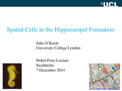 Spatial Cells in the Hippocampal Formation John O’Keefe University College London Nobel Prize Lecture Stockholm 7 December 2014