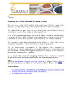 Pushing for labour market systems reform There are many local initiatives that help people secure higher wages, retain their jobs and advance more quickly and farther in their work and career. Yet, these initiatives alon