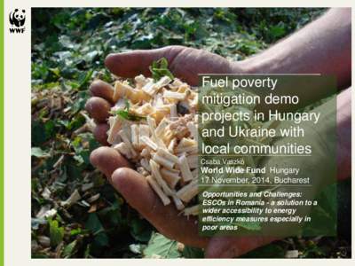 Fuel poverty mitigation demo projects in Hungary and Ukraine with local communities Csaba Vaszkó