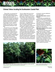 Chinese Tallow: Invading the Southeastern Coastal Plain Chinese tallow is an ornamental tree with colorful autumn foliage that can survive full sunlight and shade, flooding, drought, and in some cases fire. To horticultu