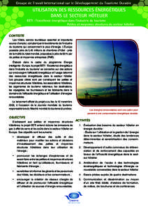 UTILISATION DES RESSOURCES ÉNERGÉTIQUES DANS LE SECTEUR HÔTELIER EETI : l’excellence énergétique dans l’industrie du tourisme Petites et moyennes structures du secteur hôtelier CONTEXTE Les hôtels, service tou