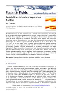 Instabilities in laminar separation bubbles J.-C. Robinet† DynFluid Laboratory, Arts et M´etiers ParisTech, 151 Boulevard de l’Hˆopital, 75013 Paris, France