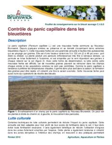 Feuillet de renseignements sur le bleuet sauvage C[removed]Contrôle du panic capillaire dans les bleuetières Description Le panic capillaire (Panicum capillare L.) est une mauvaise herbe commune au NouveauBrunswick. Dep